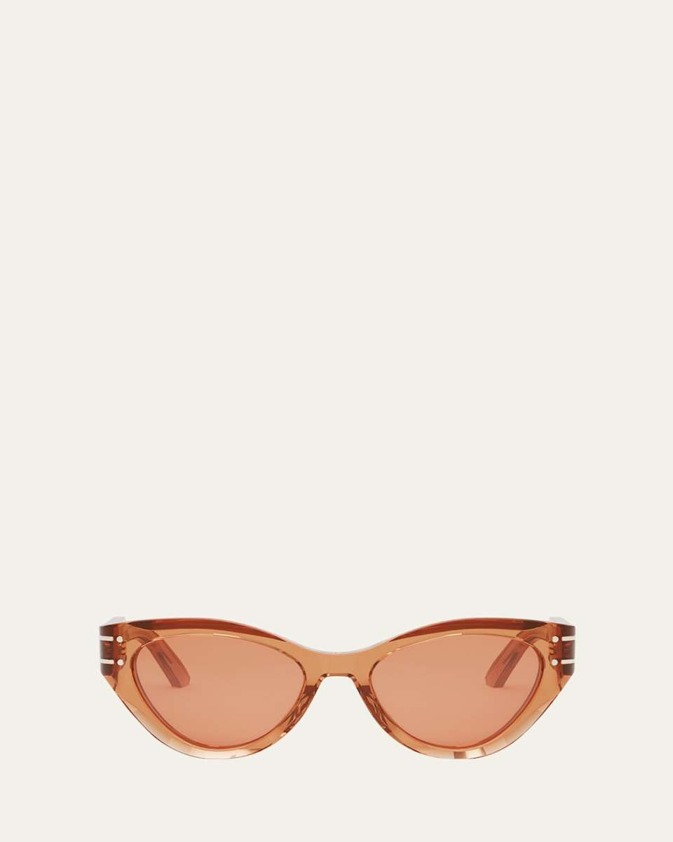DiorSignature B7I Sunglasses